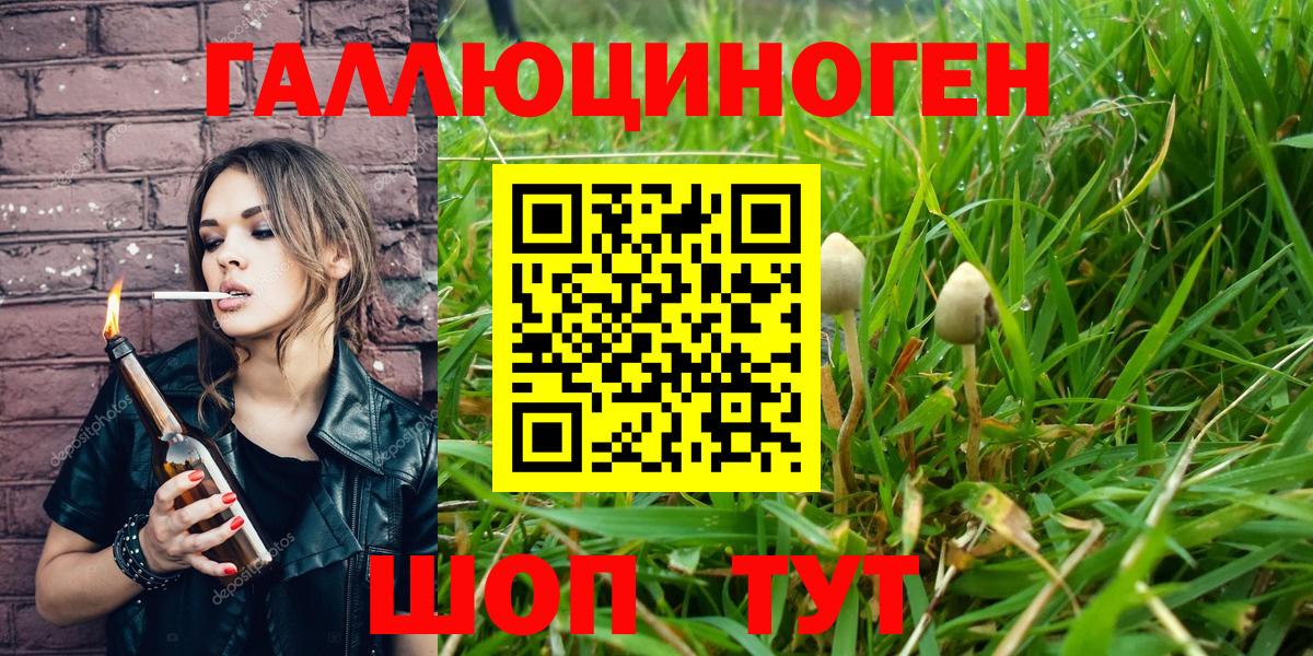 цена наркотик  Псилоцибиновые грибы Cubensis  Вход с VPN  Ессентуки 